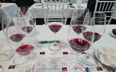 Los «yummy vinos» de la Guía peñin edición 2022