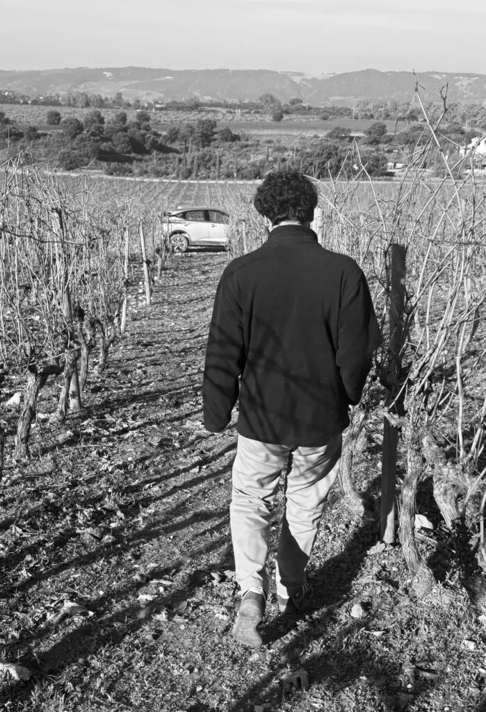 Aitor Azpitarte paseando entre viñedos
