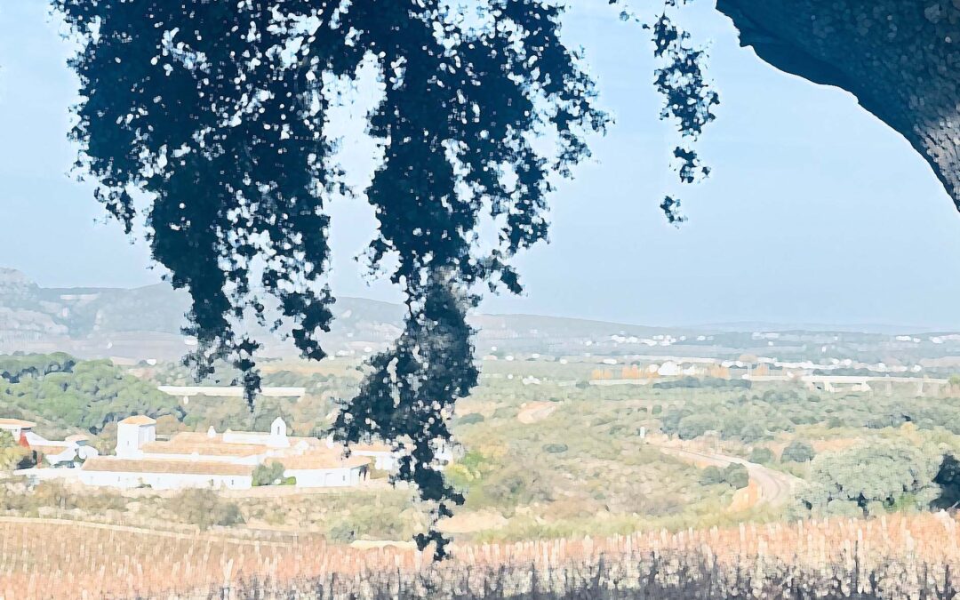 Cortijo de los Aguilares: Mediterráneo de altura