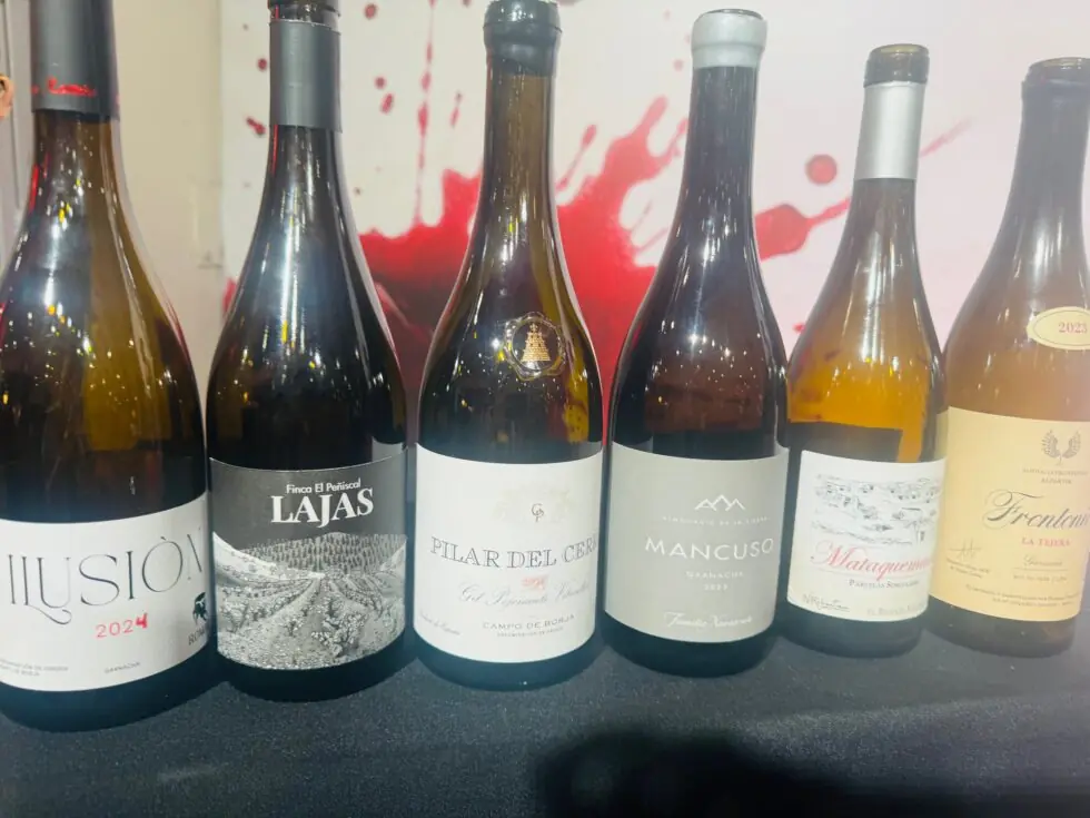 Diferentes garnachas de Aragón
