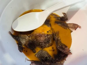 Ravioli de pollo y trufa en la cata de Garnachas de Aragón